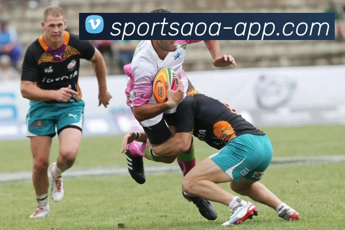 数据防护可视化